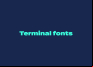 Terminal Font